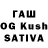 Псилоцибиновые грибы Magic Shrooms doug westphal