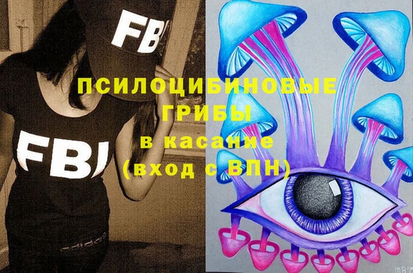 тгк Бронницы