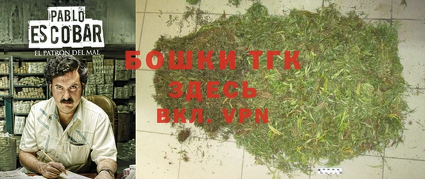 тгк Бронницы