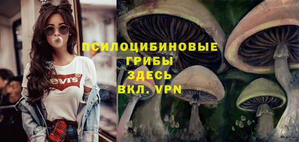 марки lsd Бородино