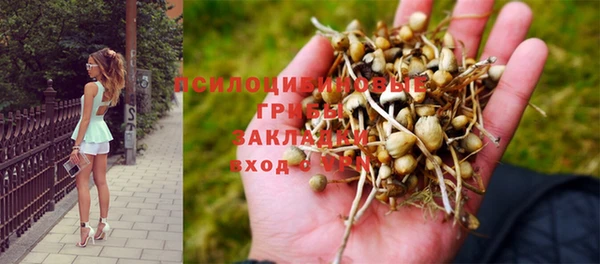 тгк Бронницы
