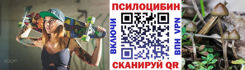Галлюциногенные грибы Cubensis  Купить где  Боровичи 